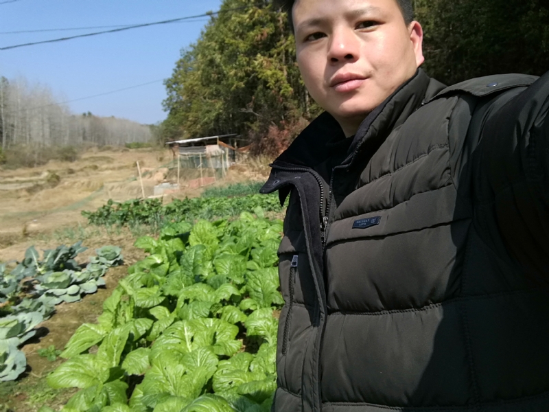 倔强的驴的第一张照片--罗源交友网
