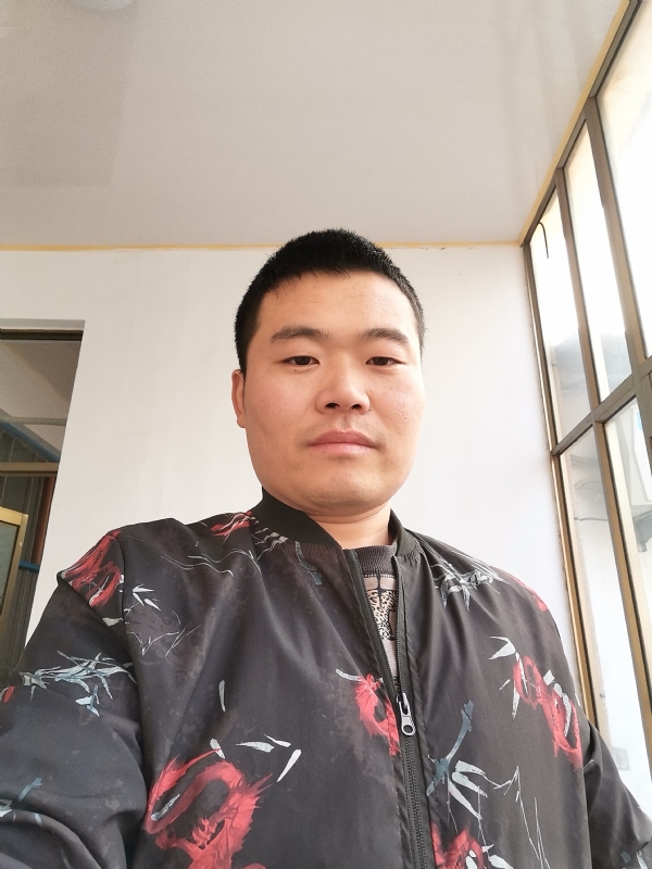 会飞的猪的第一张照片--罗源交友网