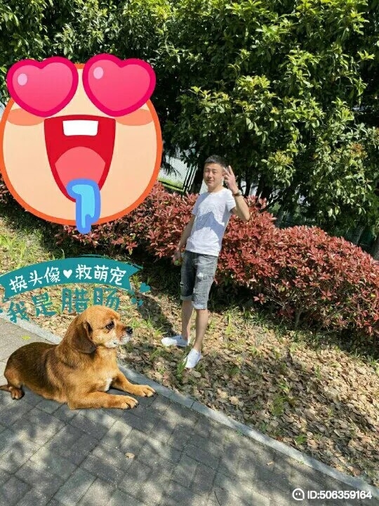 我若不坚强谁替我勇敢的第一张照片--罗源交友网