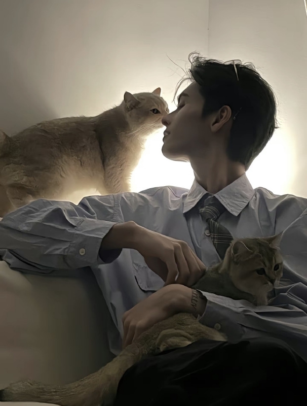 怪猫的第一张照片--罗源交友网